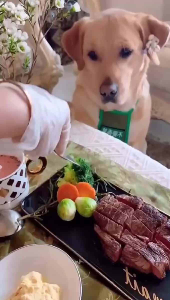 К чему эти манеры