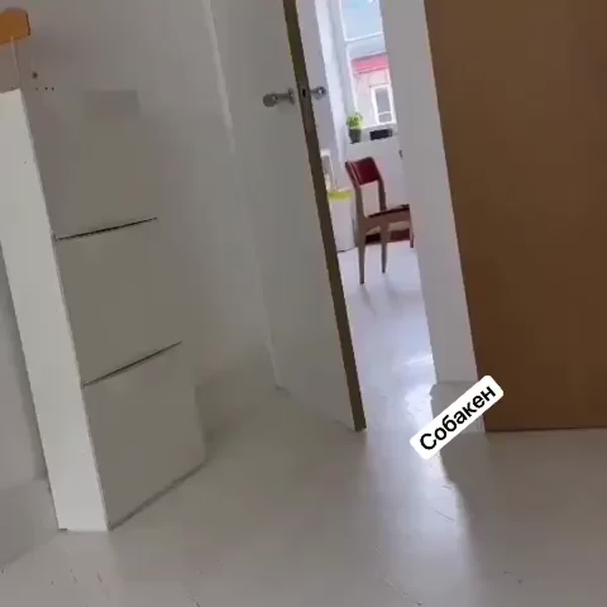 Пока никто не видит