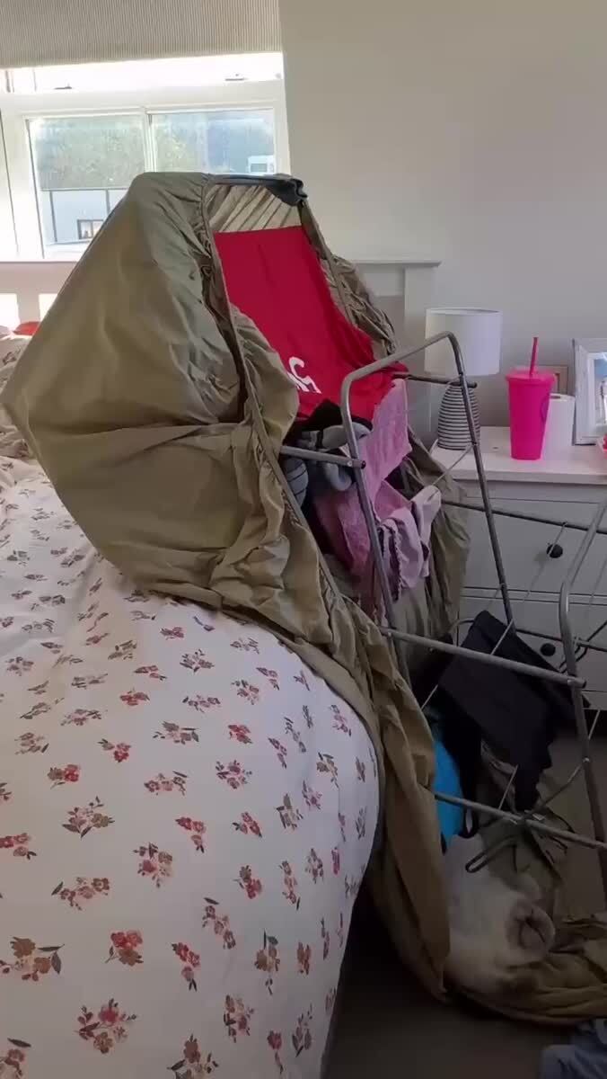 С чувством выполненного долга😌♥️ шерстяные проказники