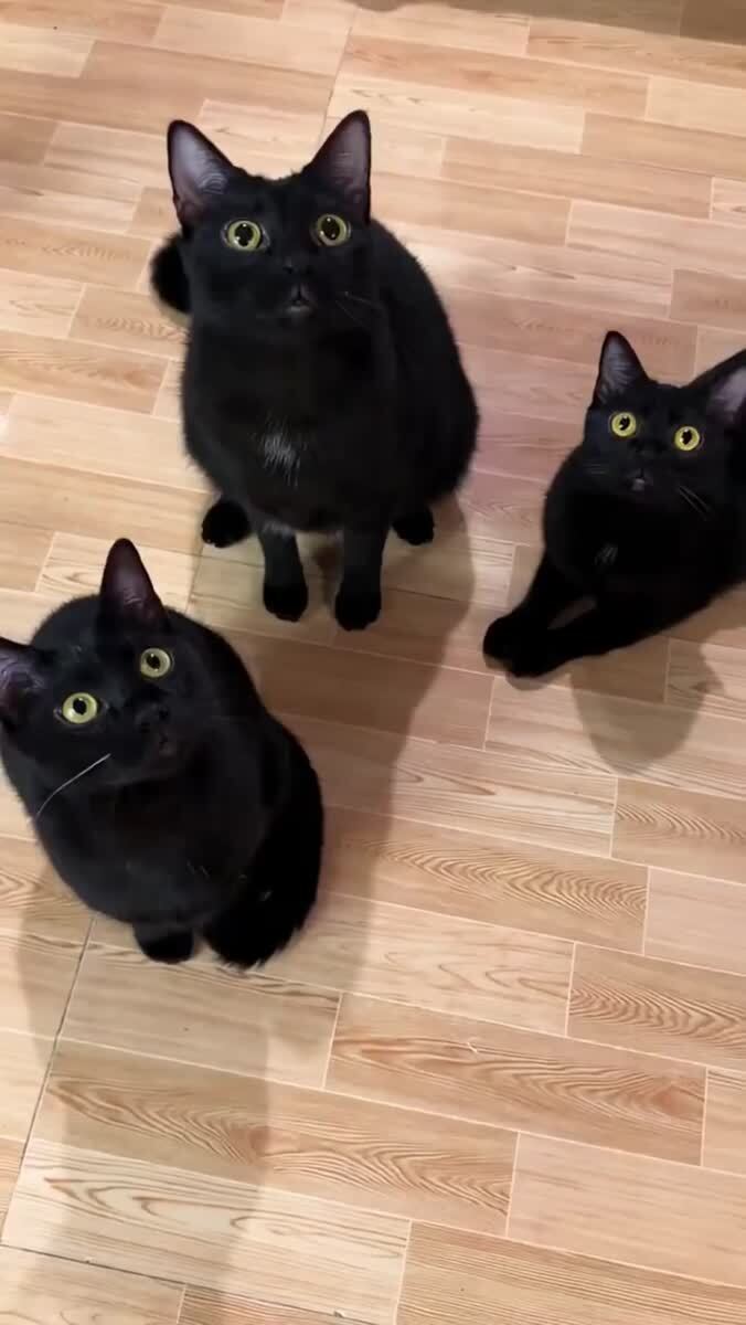 0.0