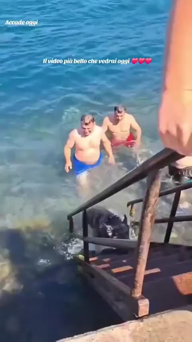 Даже собакен отдыхает лучше, чем я