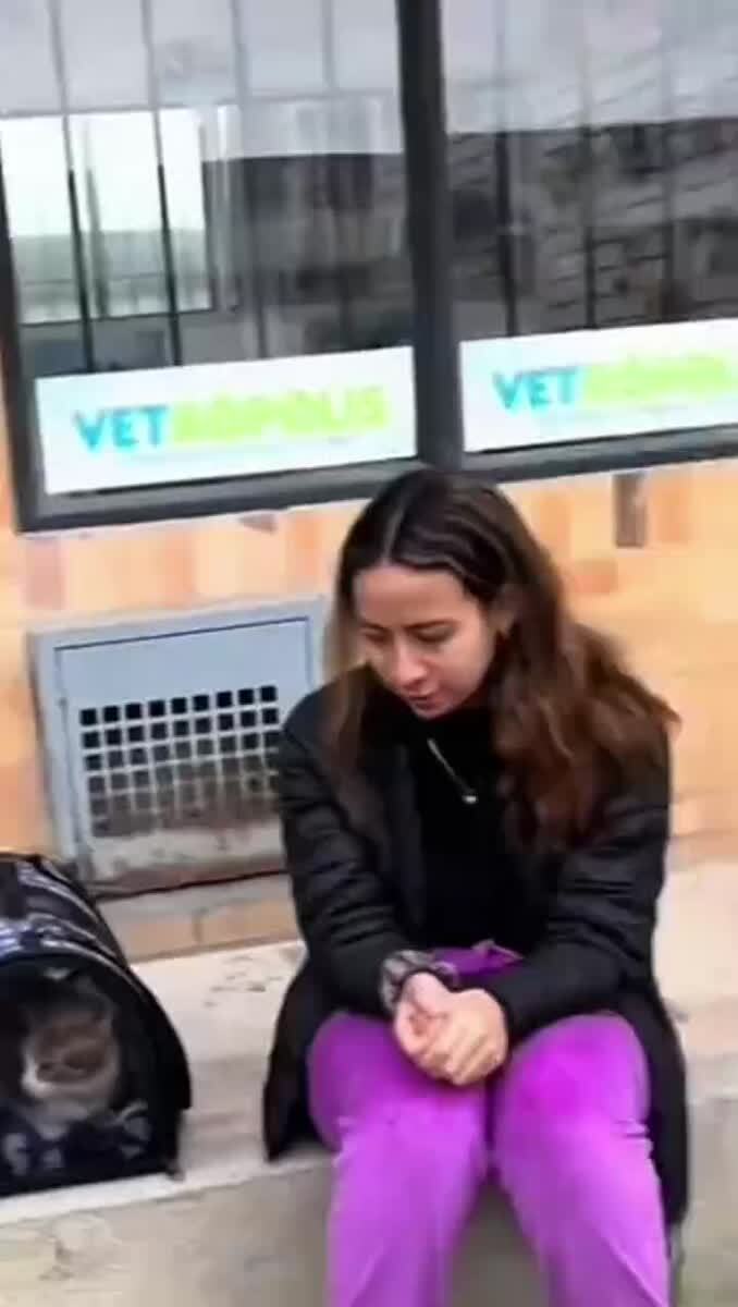 Когда выбрал поездку экономом😅♥️ шерстяные проказники