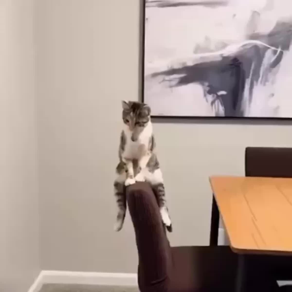 Очень удобно😂♥️ шерстяные проказники
