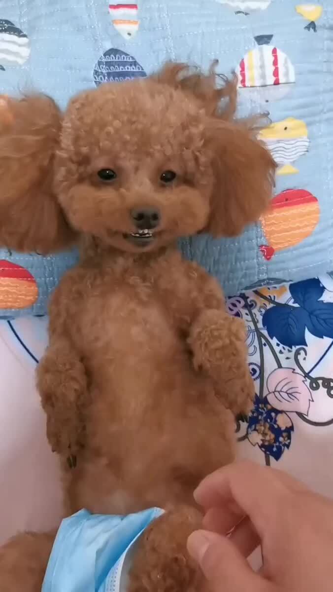 От улыбки станет всем светлей 😃Репост другу