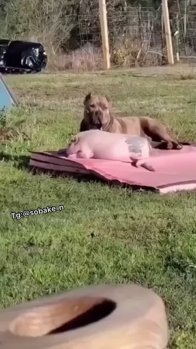 Замечательный мужик меня вывез в Геленджик