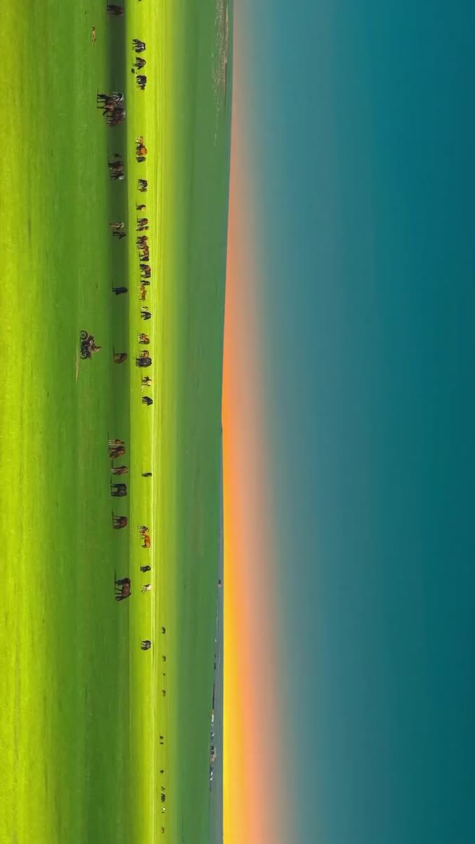 Бескрайняя степь 🌅