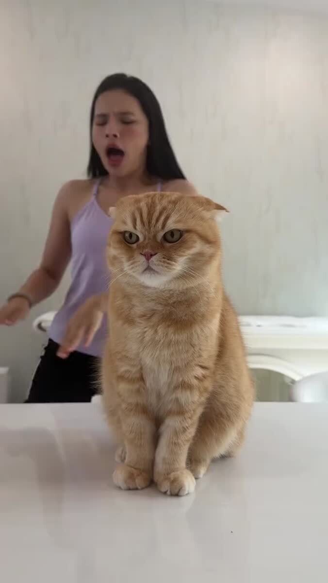 За что мне это всё🙄♥️ шерстяные проказники