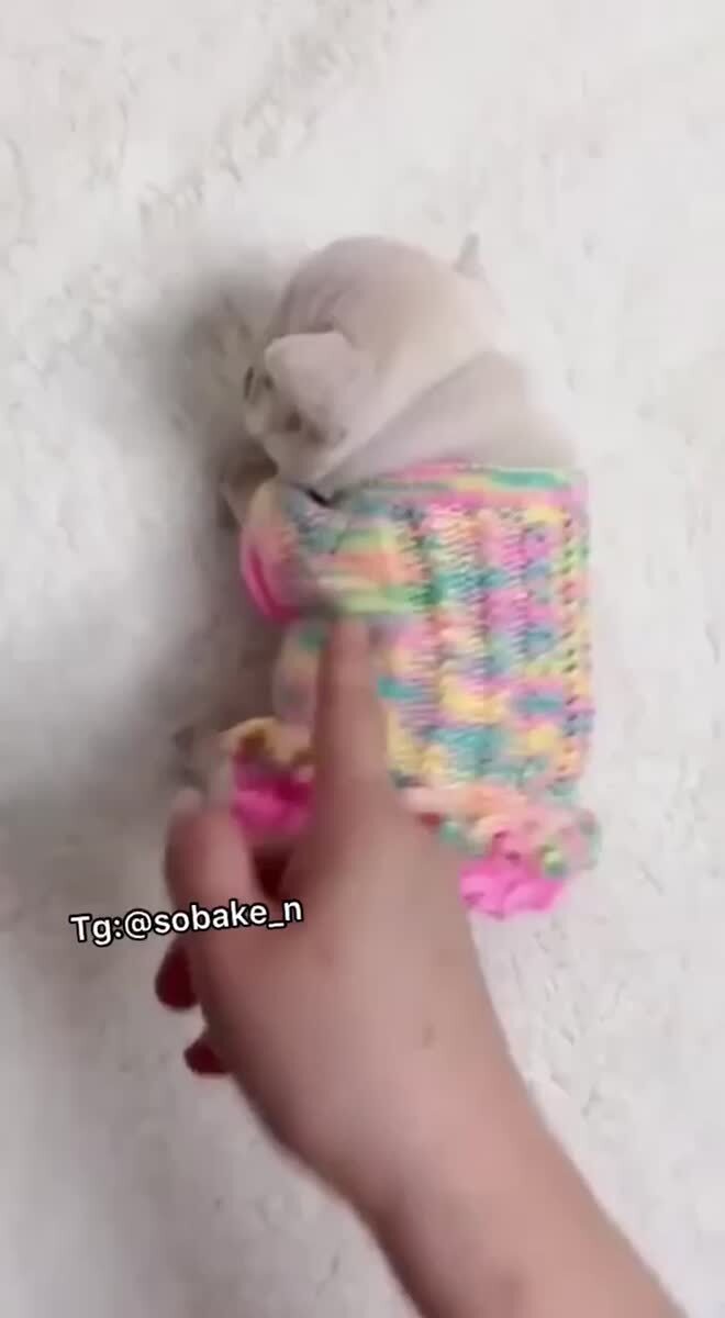 Я колобок, колобок