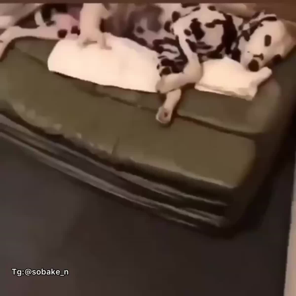 Малыш любит взбитое молоко с пенкой