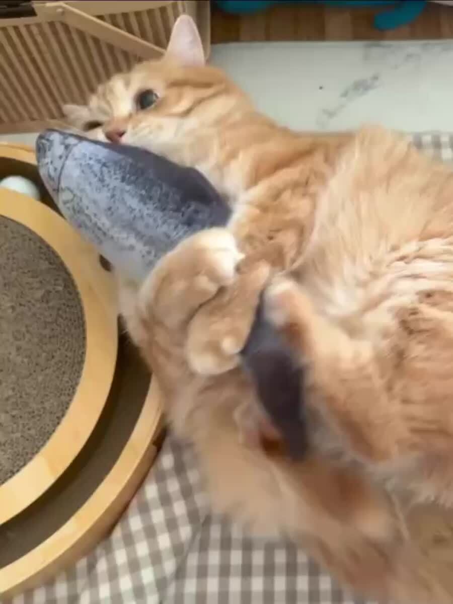Тебе конец, рибовое😈♥️ шерстяные проказники