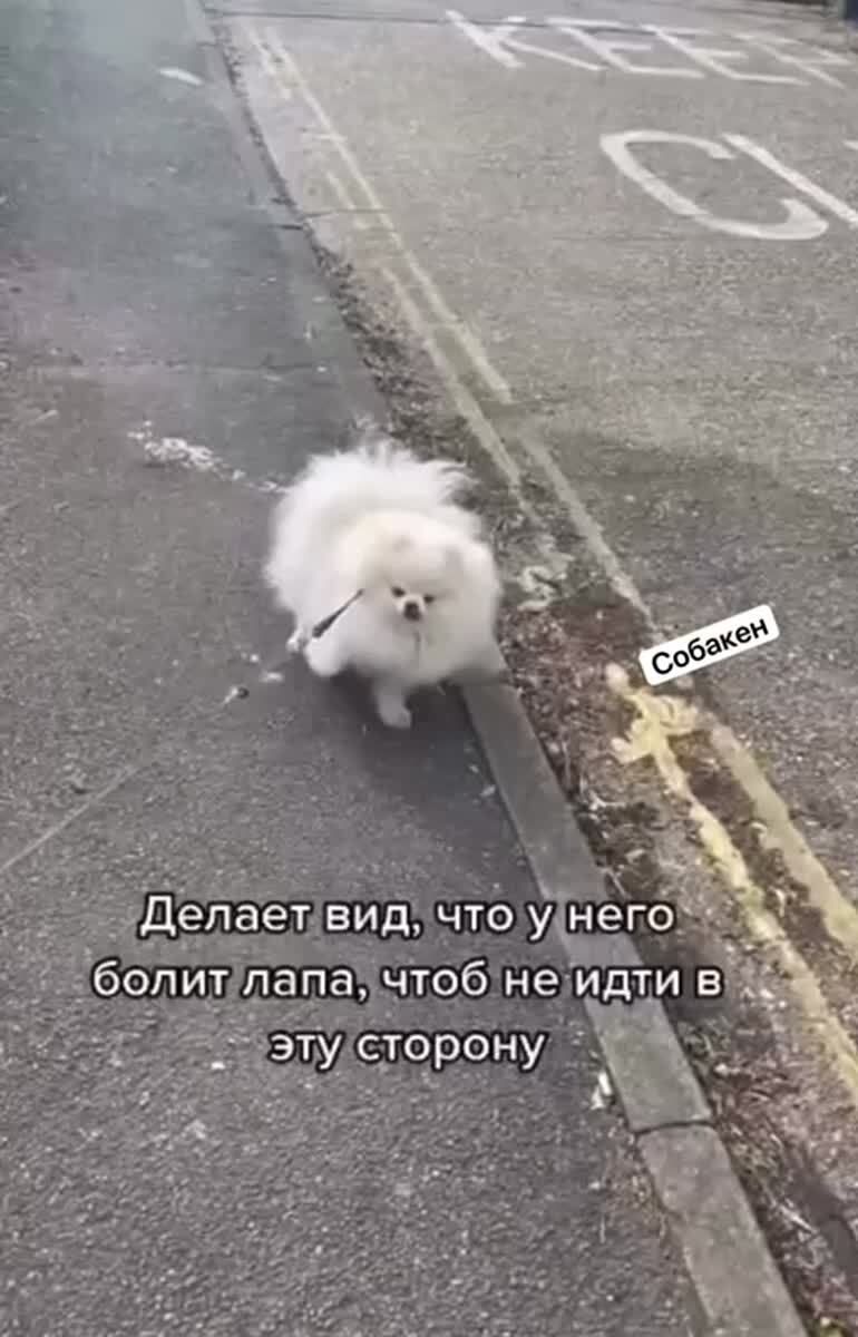 Маленький симулянт