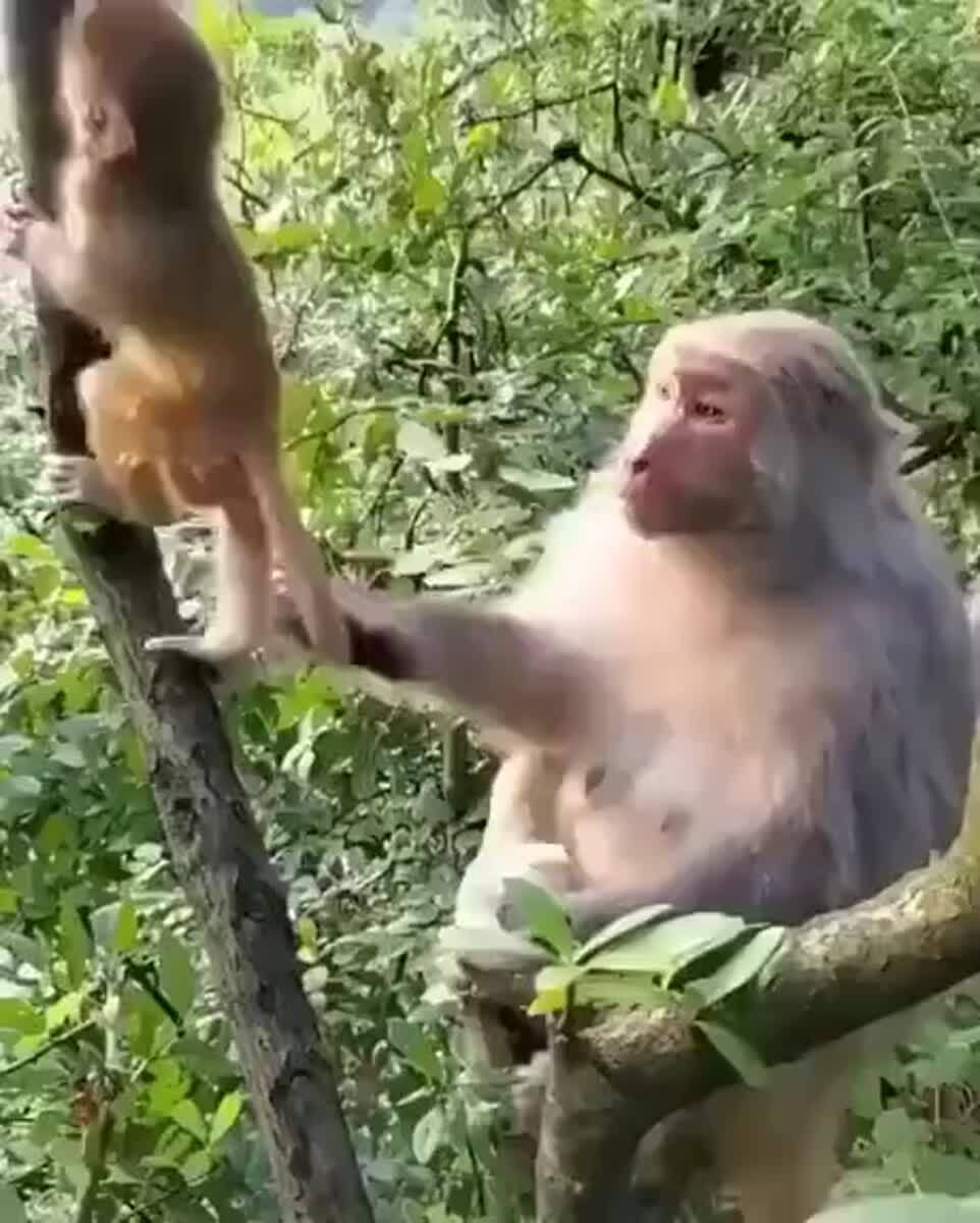 Мама, дай поцелую!