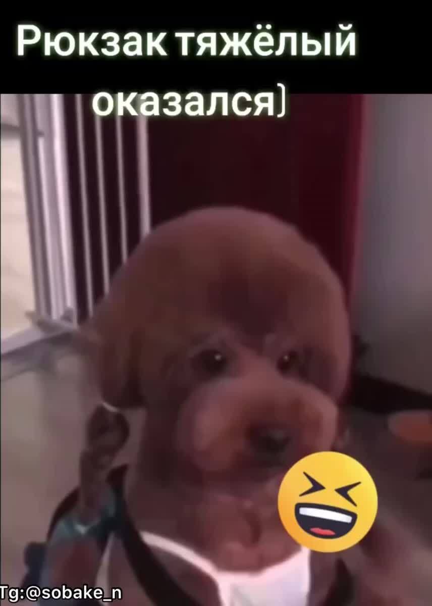 Все школьники сегодня