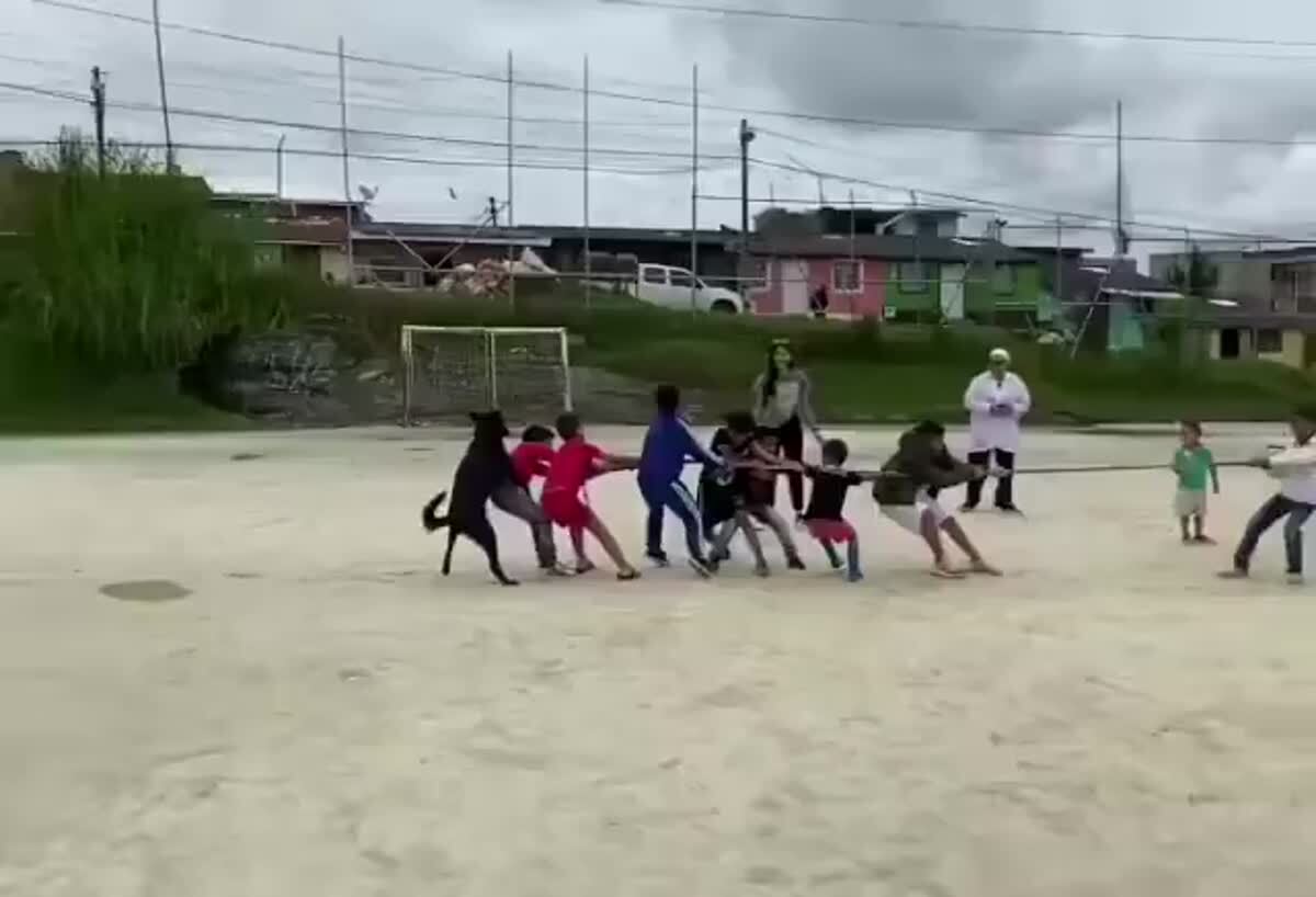 Хвостатый явно за другую команду⁠