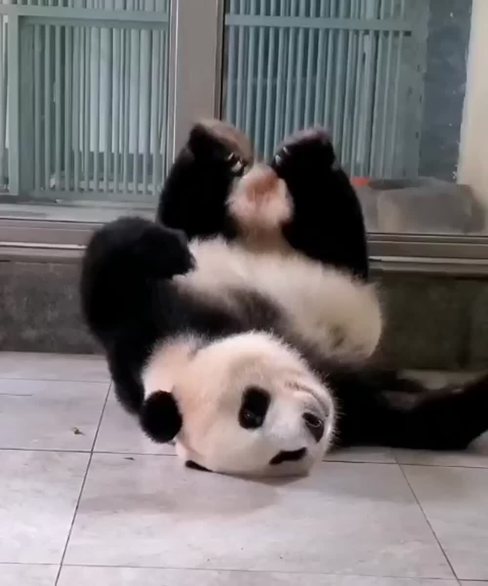 Отдыхательный шпагат
