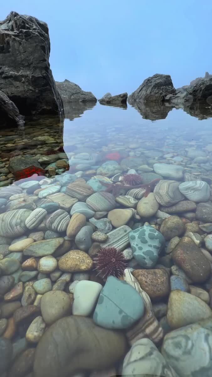 Как удивительна наша планета 🥰
