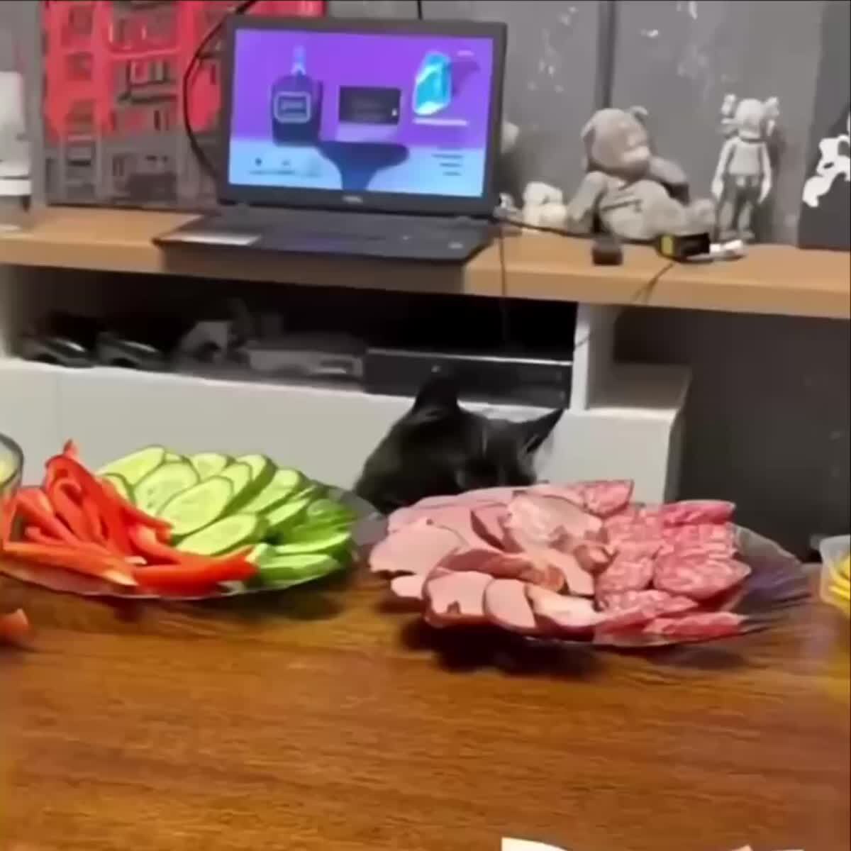 Он все посчитал, один лишний🤭♥️ шерстяные проказники