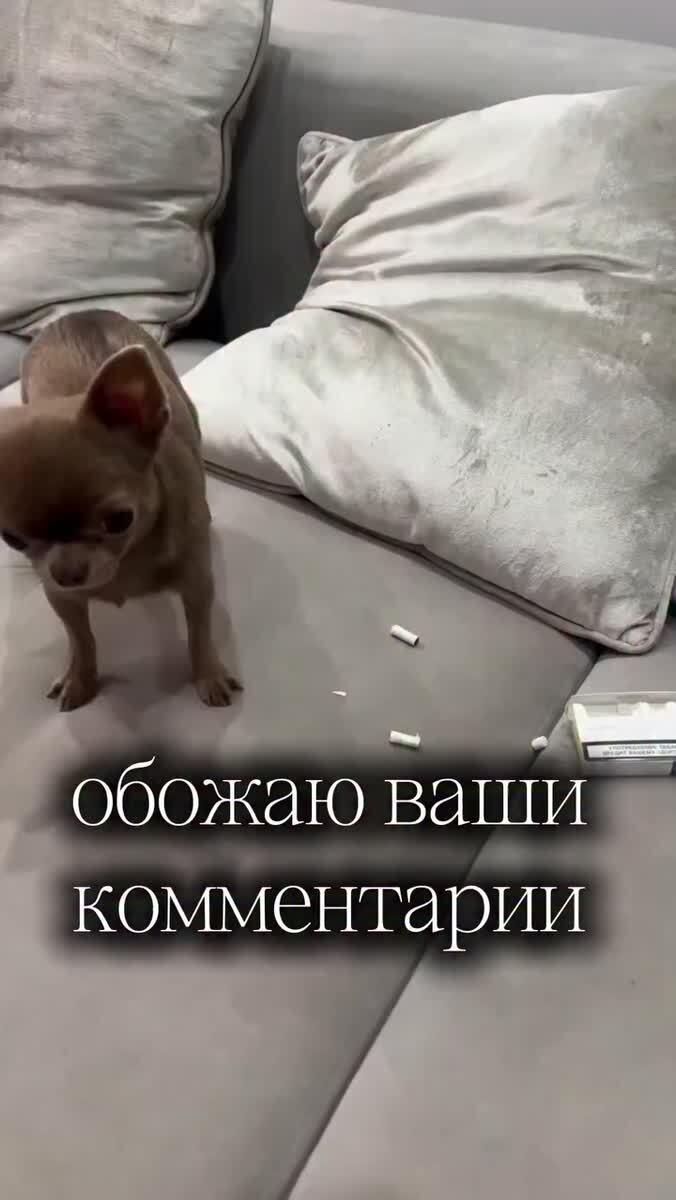 Комментарии огонь