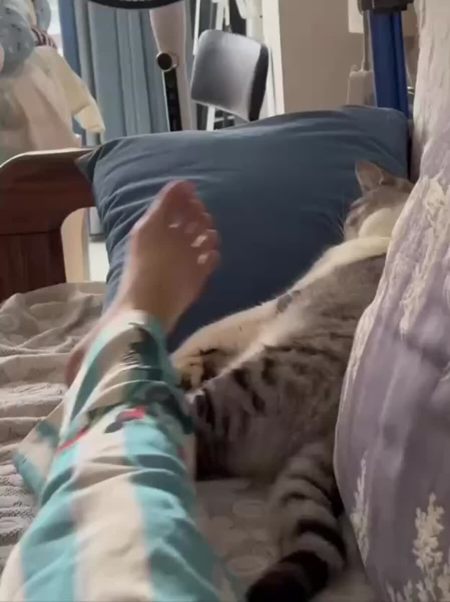 Слышб, на рабкоту👀♥️ шерстяные проказники