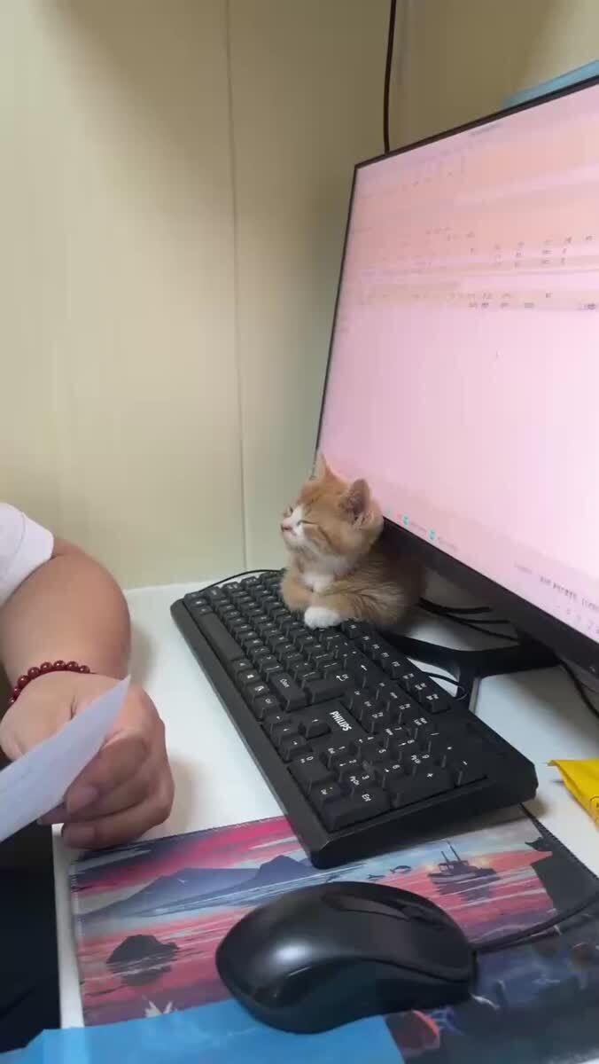 Узнали себе на работе?Отправляй коллеге