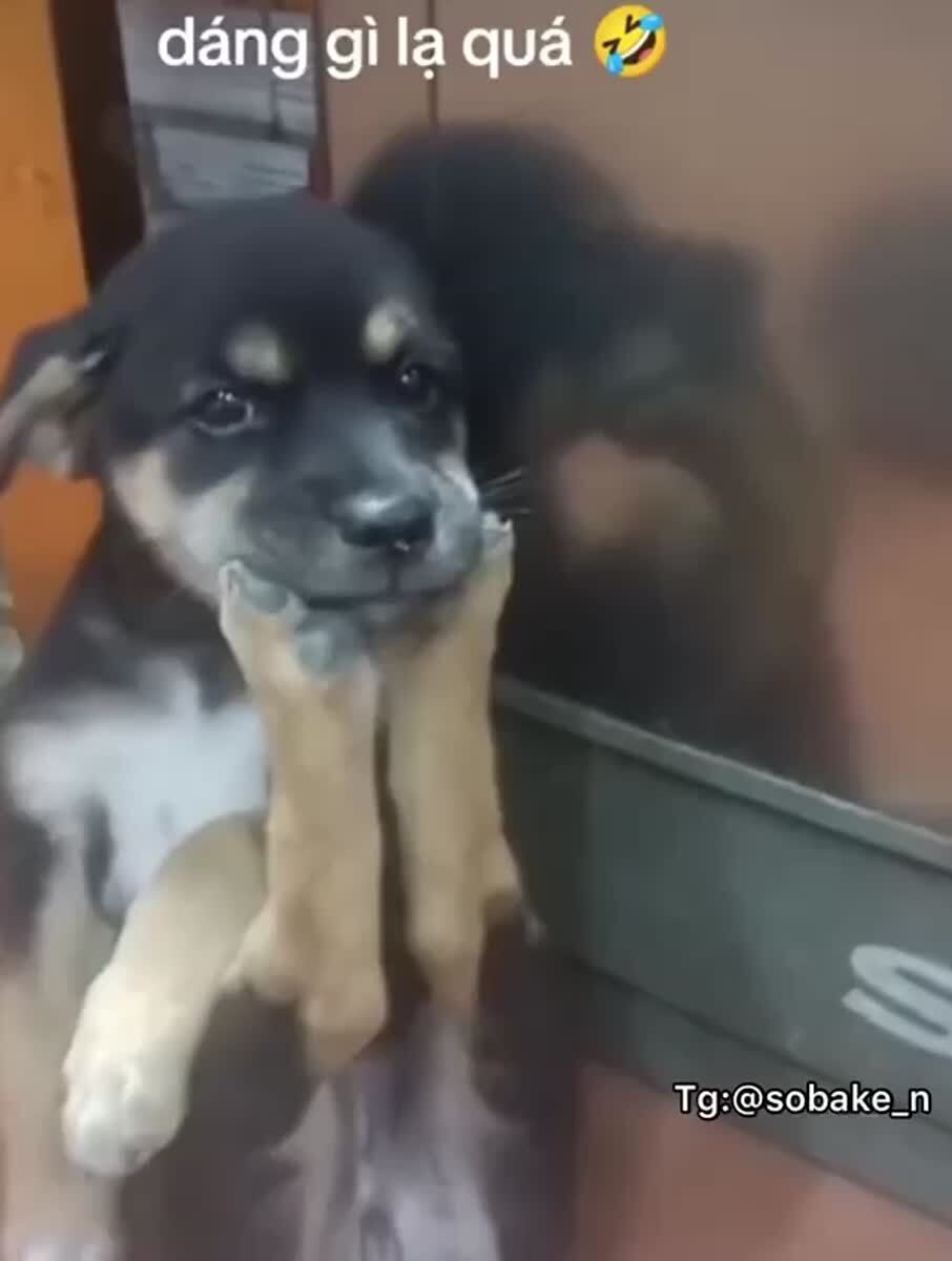 Главное что ему удобно