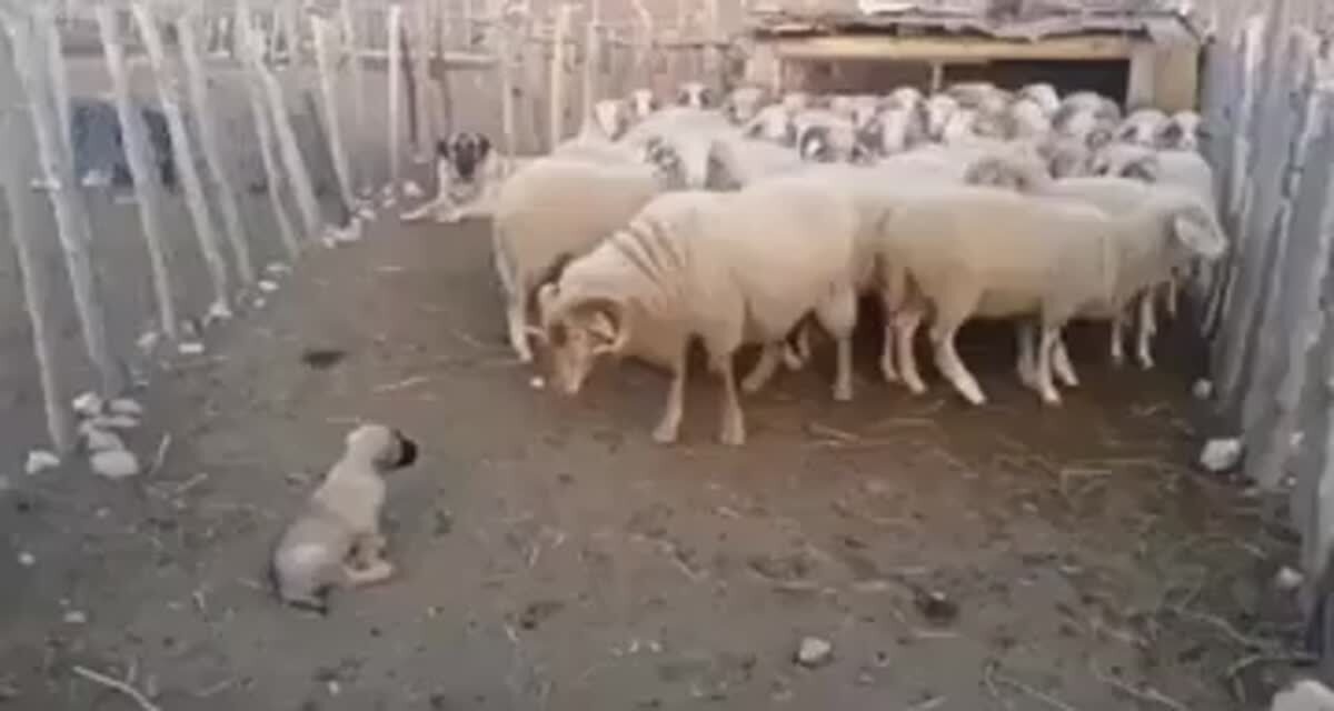 Проблемы?⁠