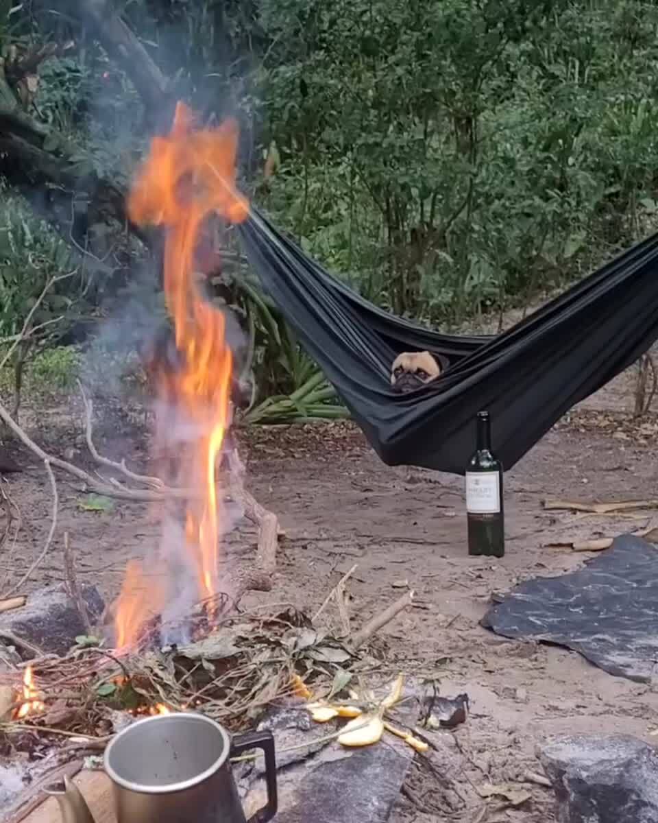 Вот так сейчас хочется, а не вот это вот все
