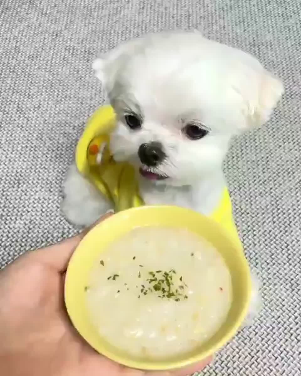 Учимся кушать сами
