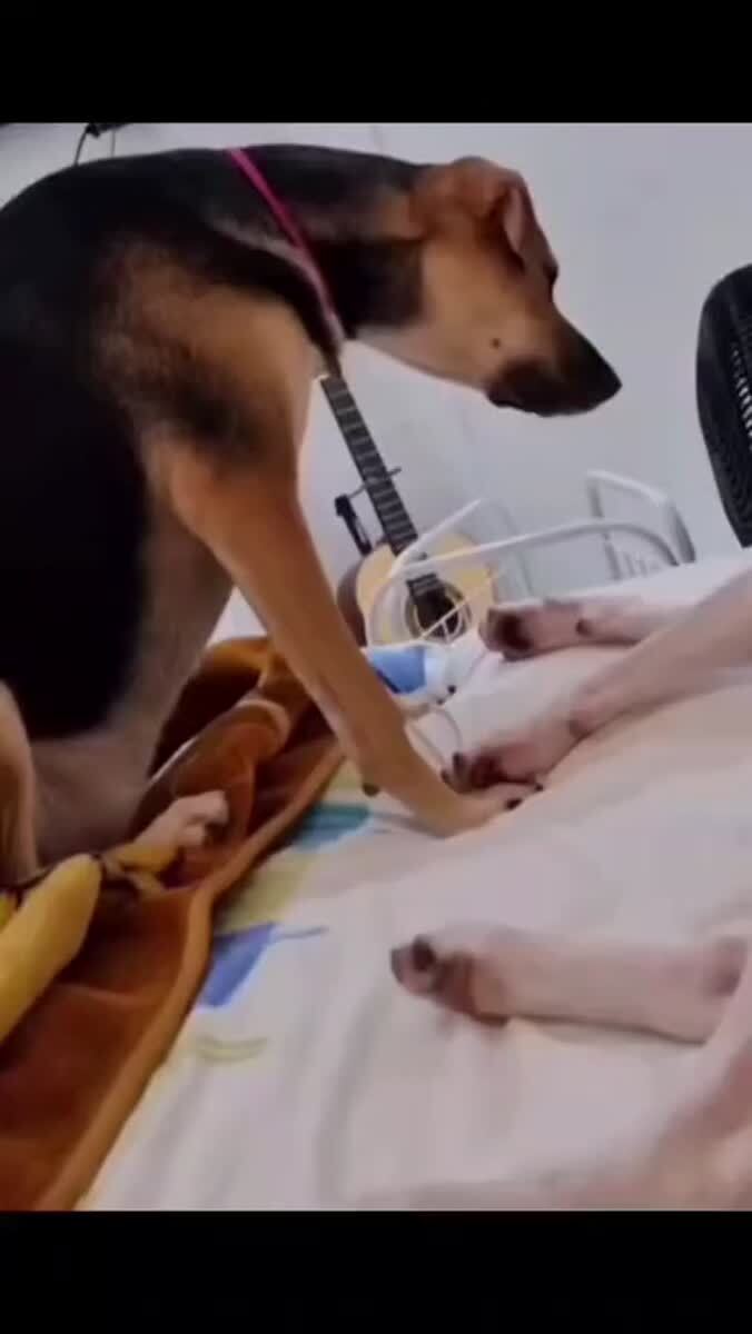 А говорила, что не храпит...