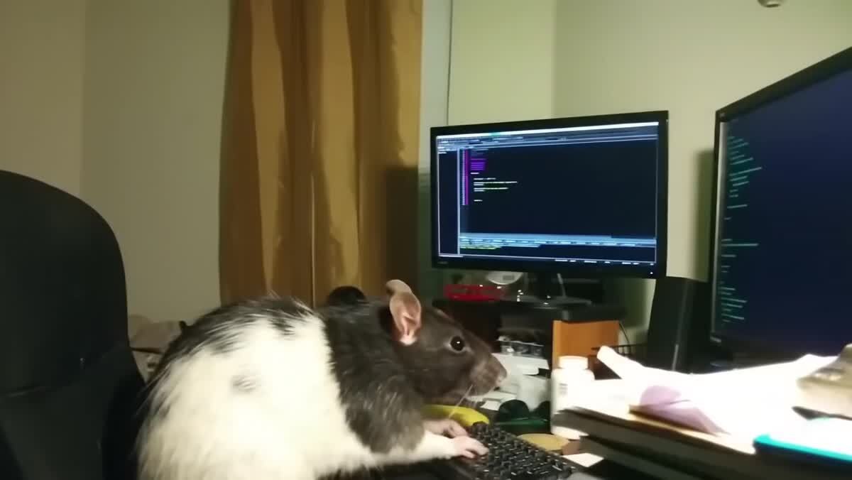 Хакер