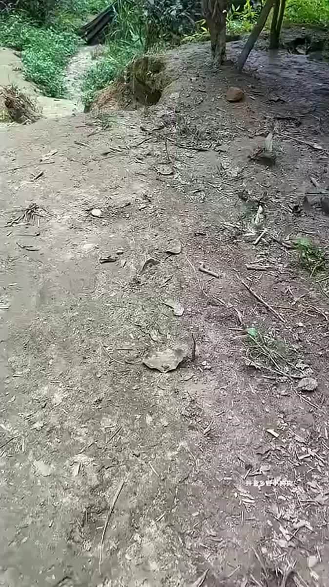 Спать и жрать наше всё!