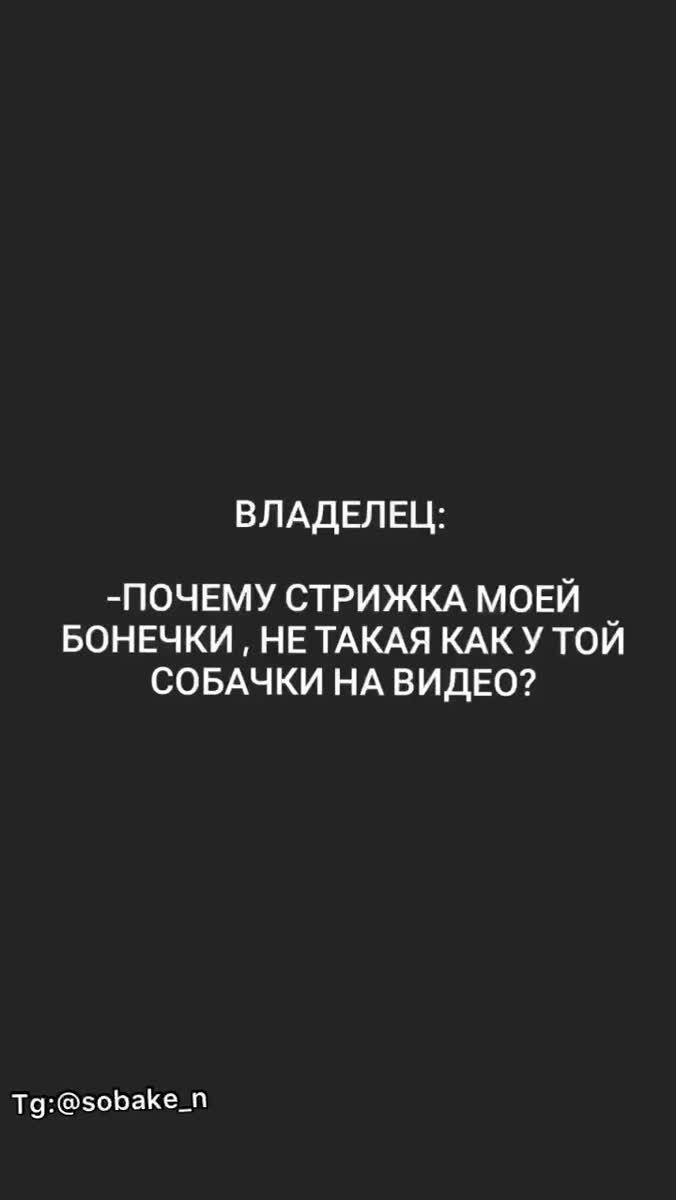 Ох уж эти Бонечки