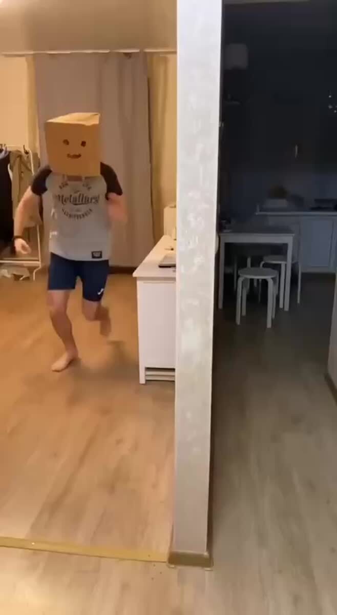 Боевой кот😎♥️ шерстяные проказники