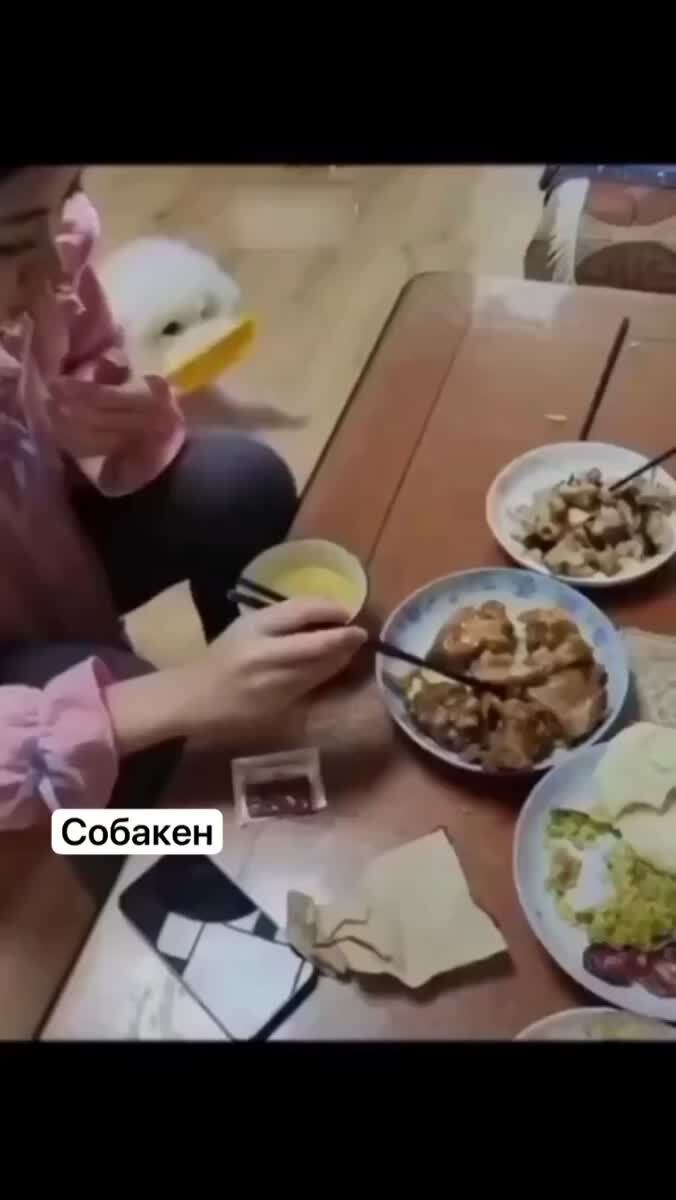 Делить давай жлоб двуногий