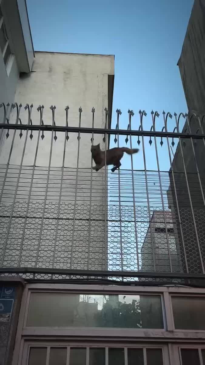 Полоса препятствий