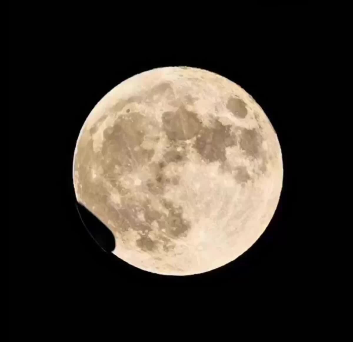 Как на самом деле происходит лунное затмение🌝♥️ шерстяные проказники