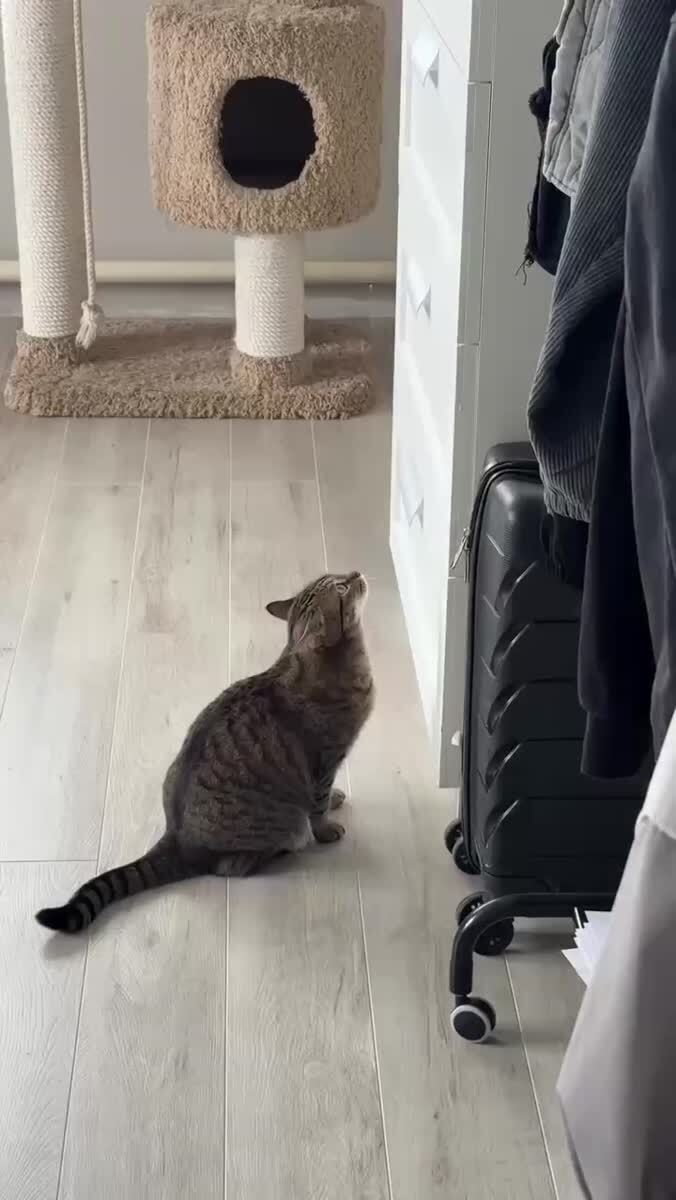 Миссия выполнима😎♥️ шерстяные проказники