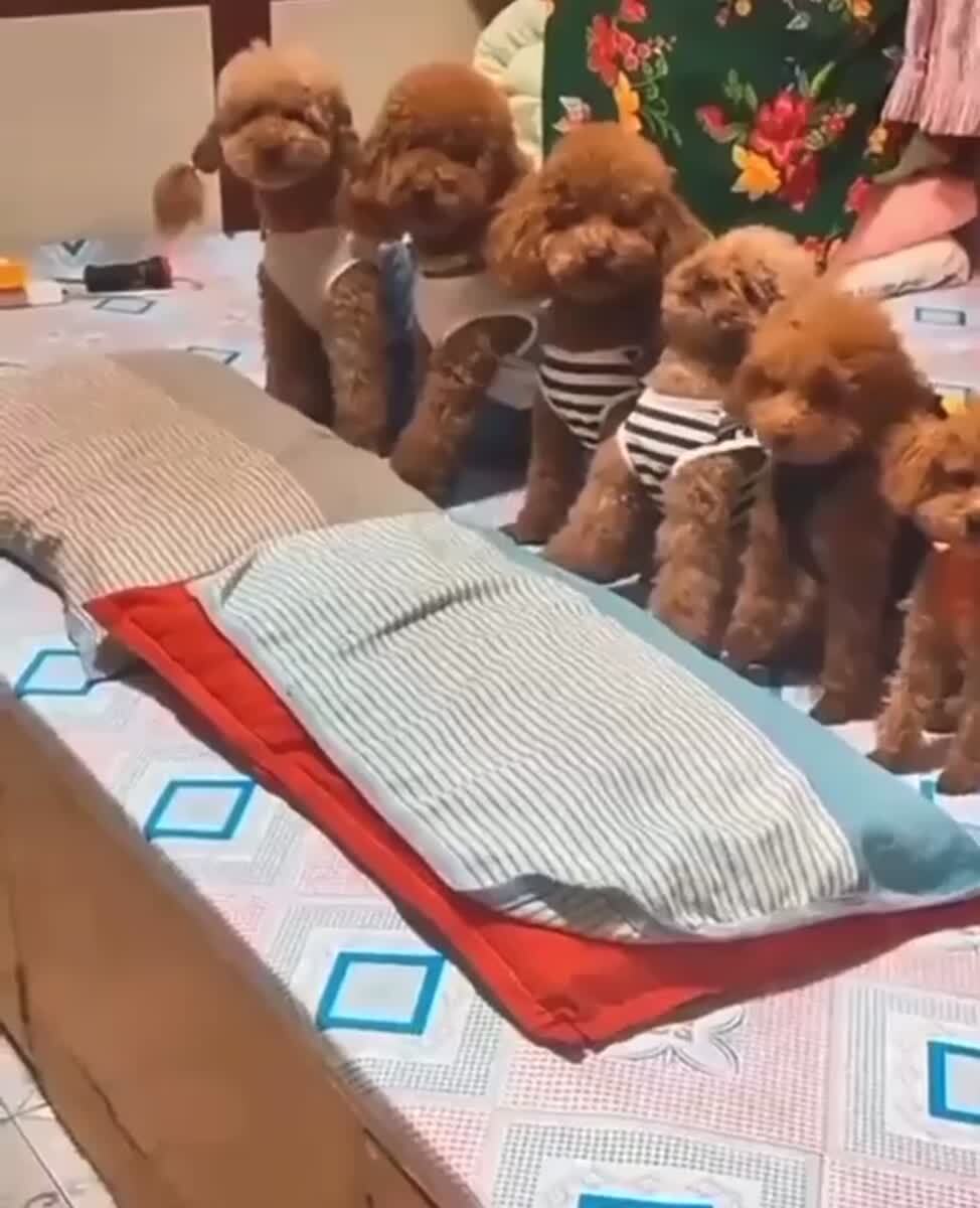 До завтра!