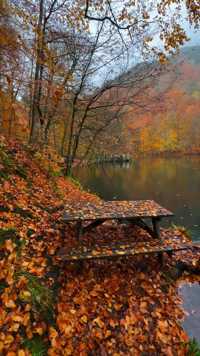 Осеннее настроение 🍂 