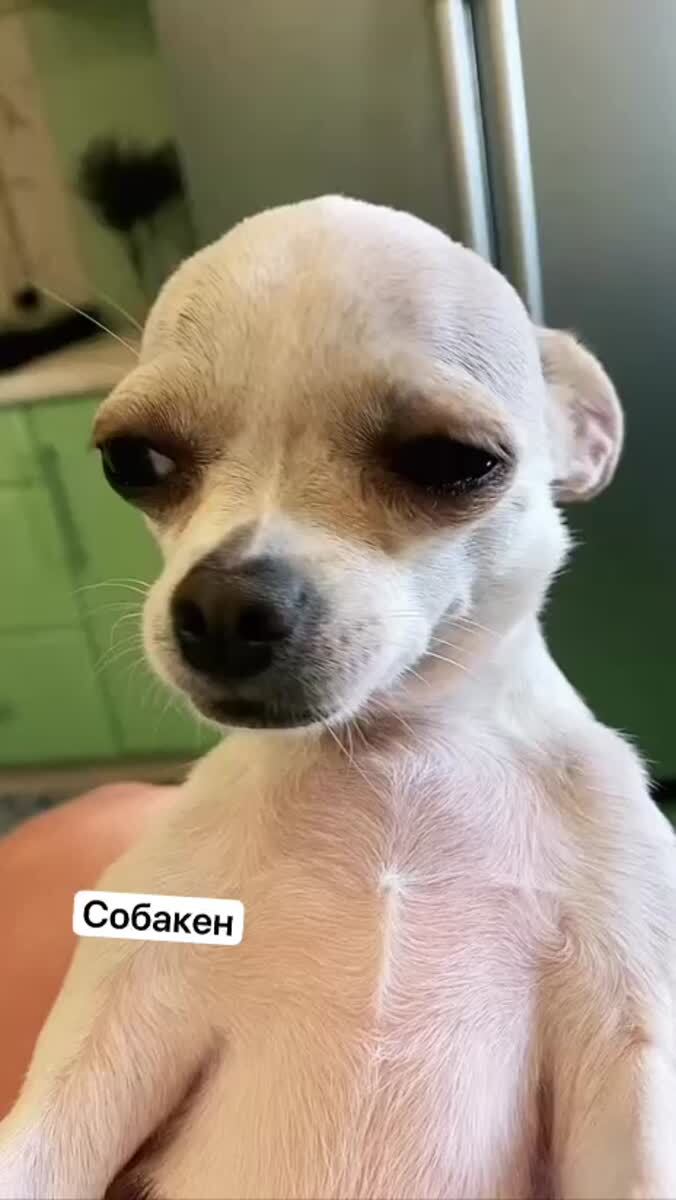 Типичная женщина