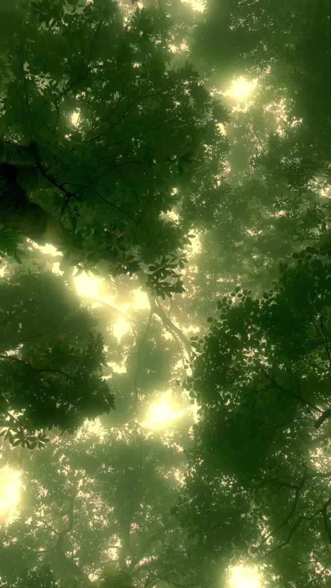 🍃 
