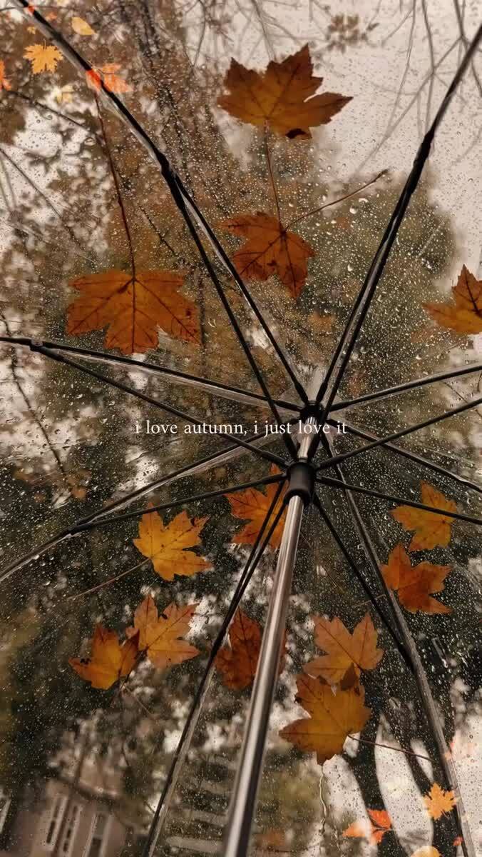Уже прошел целый месяц осени 🍂🍁