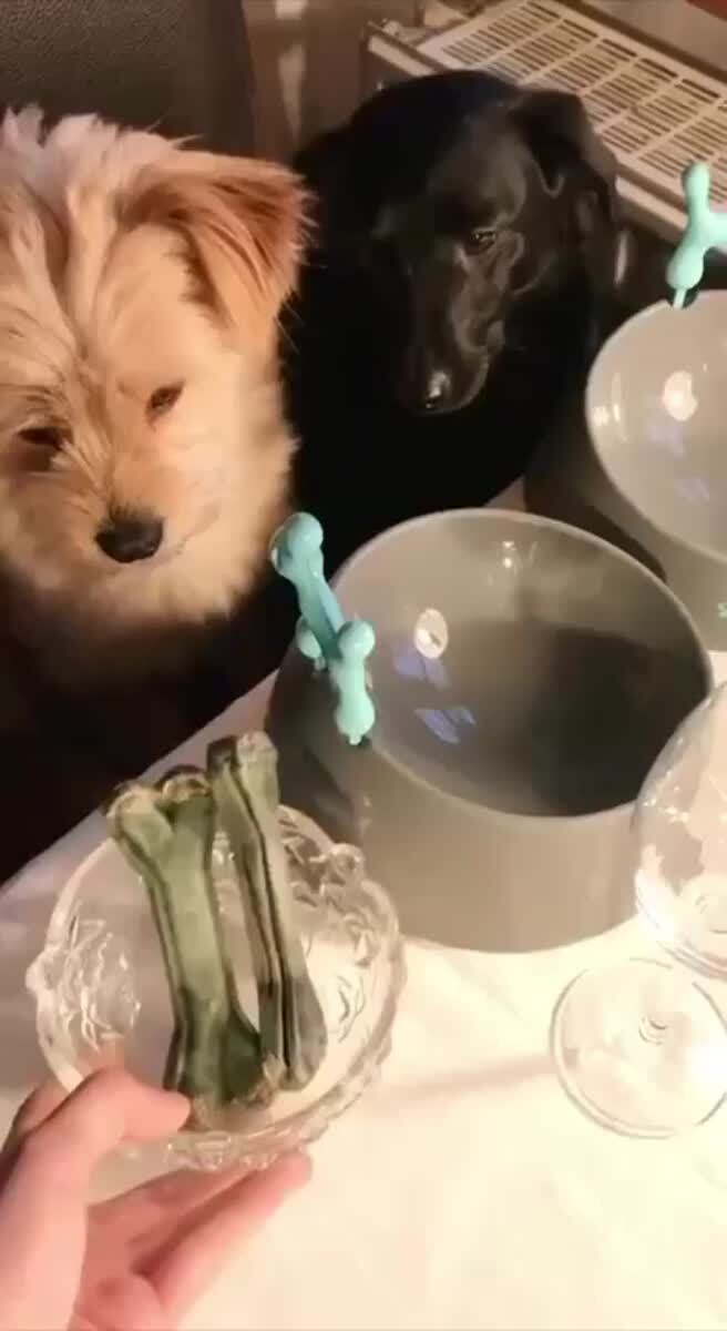 Все должно быть честно ️