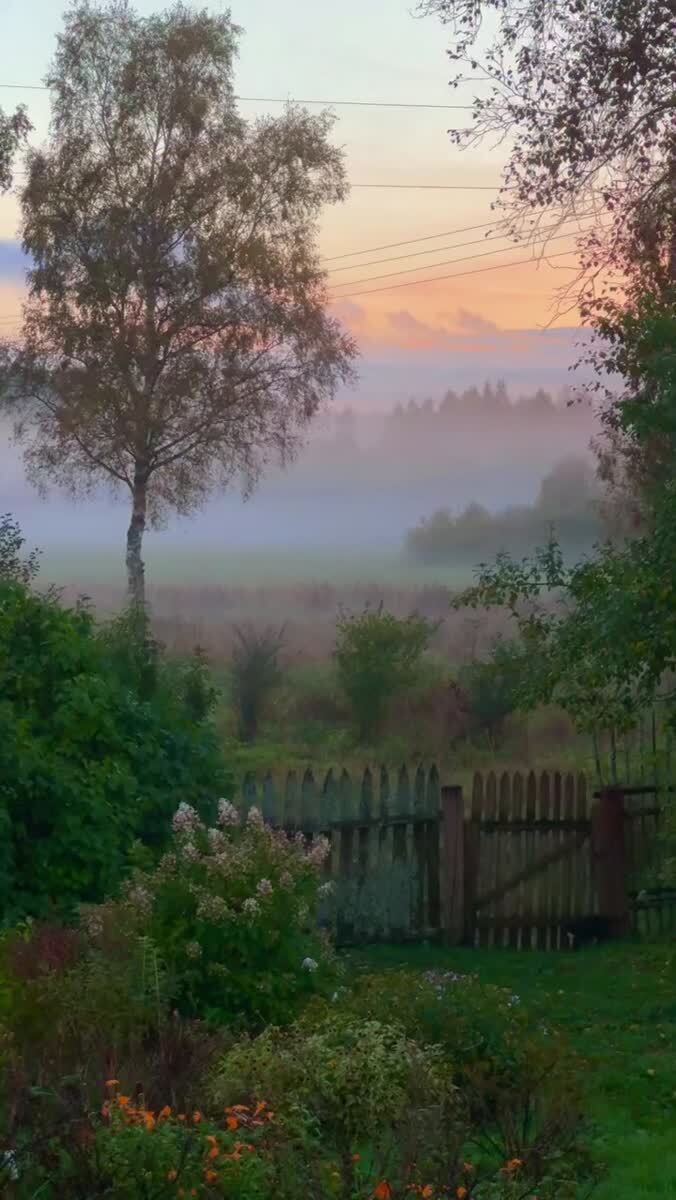 Какой вид 🏡🌅