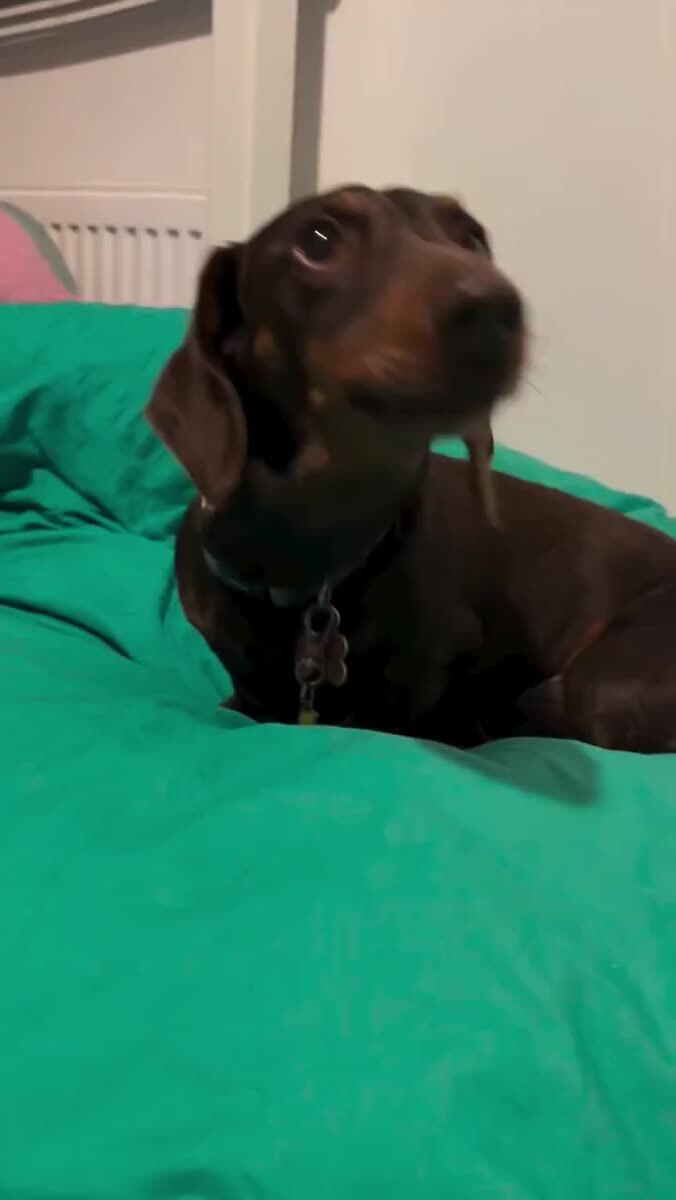 Как прошёл твой день?