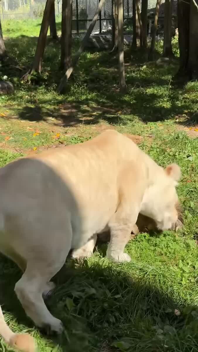 Милота😍