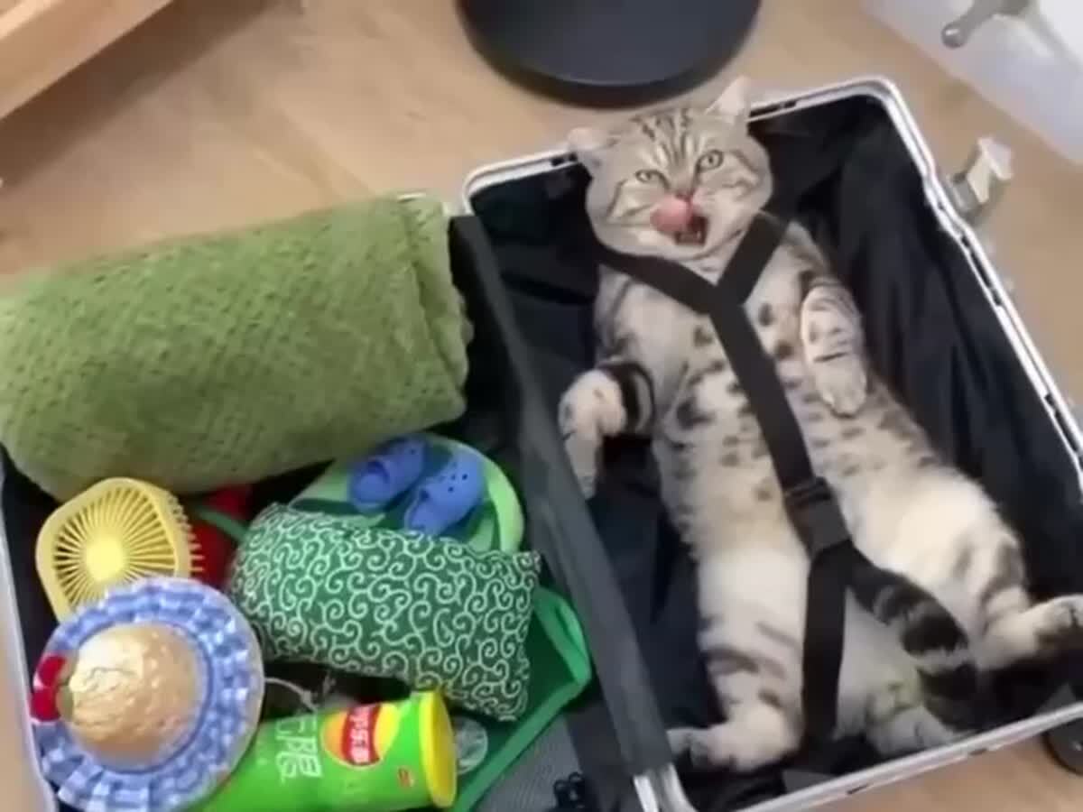 Ручная кладь