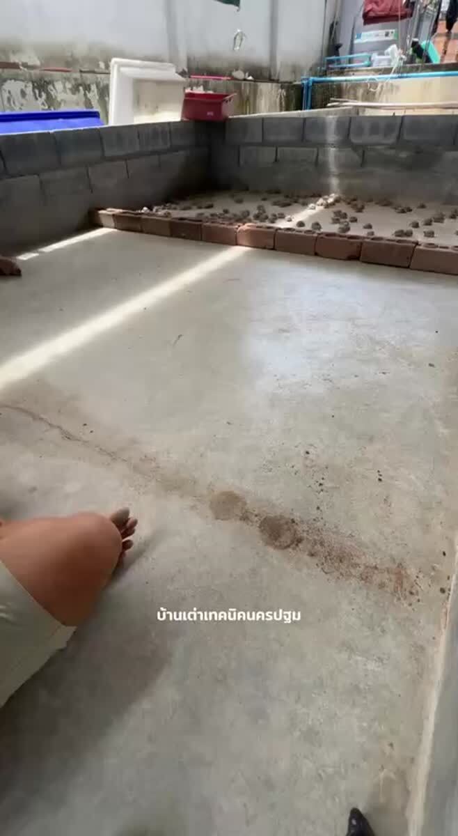 Кто быстрее