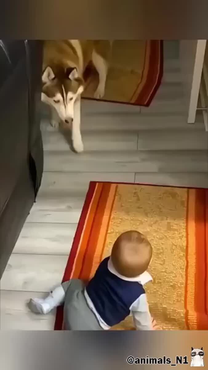 Лучшие няни