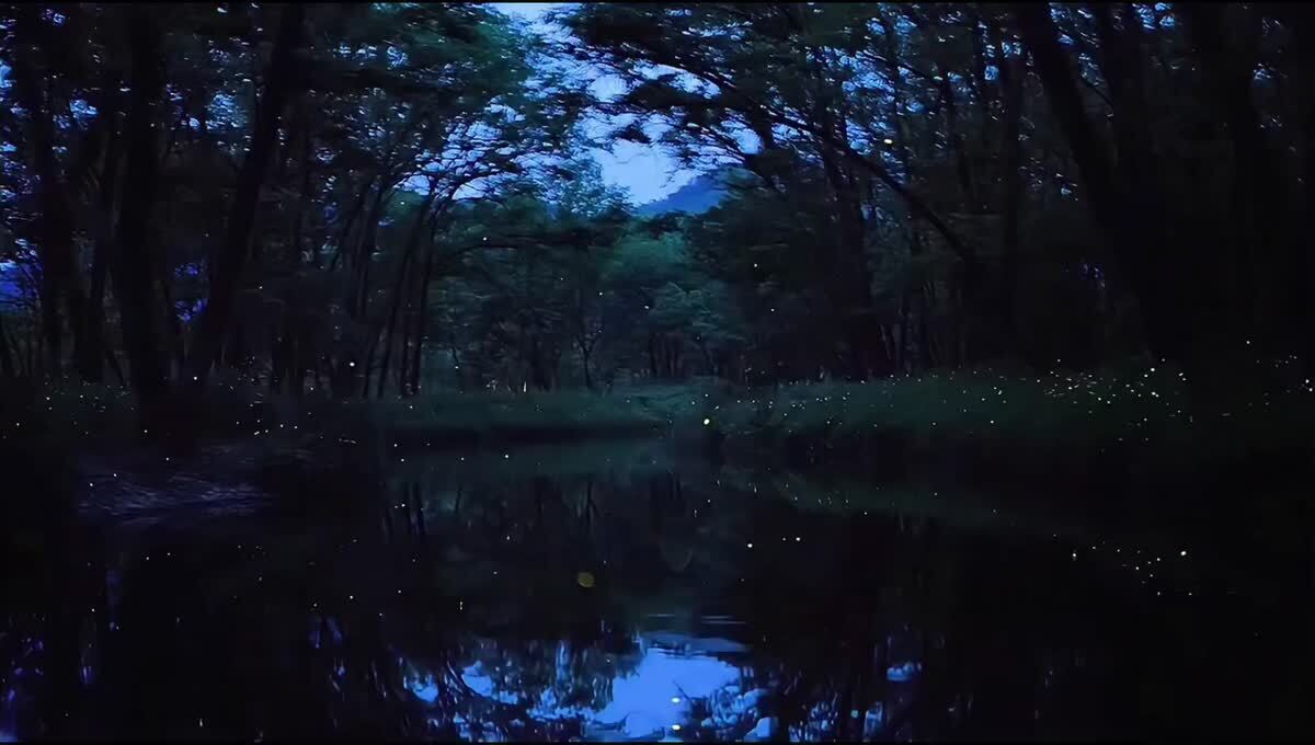 Светлячки ✨